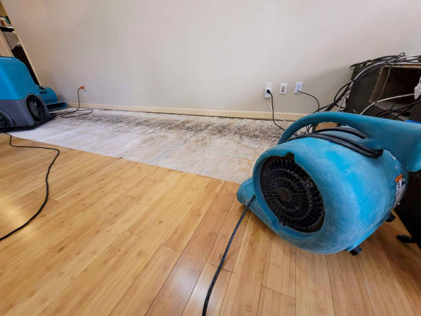 Professional Structural Drying technician working in West Boylston, MA